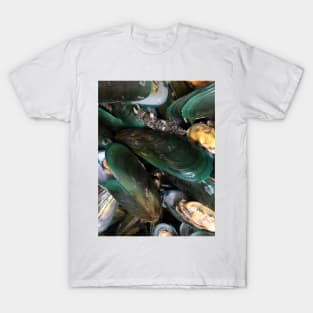 mussels texture background T-Shirt